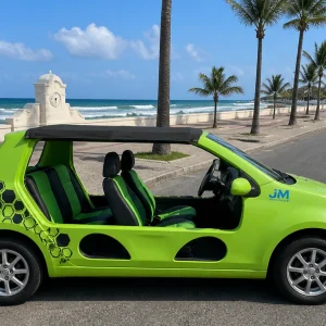 Nissan Buggy Automatic