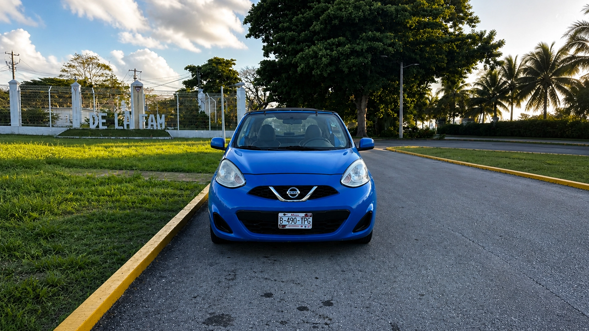 Nissan Buggy Manual