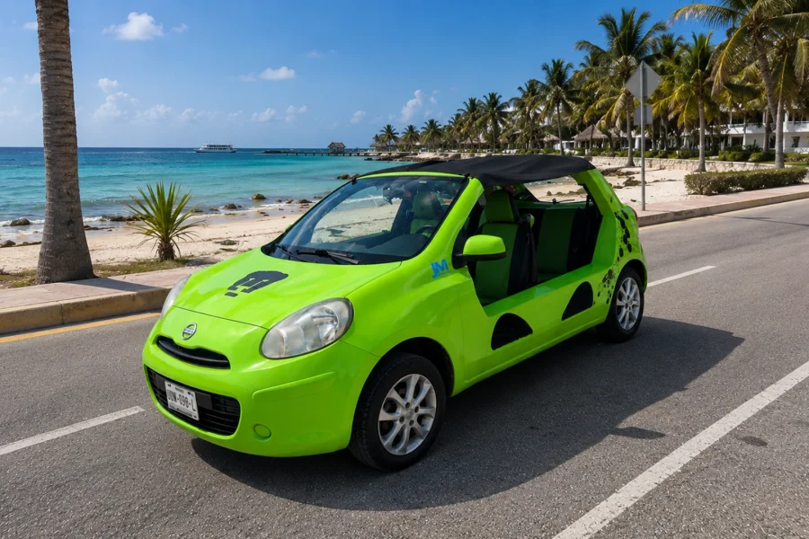 Nissan Buggy Automatic